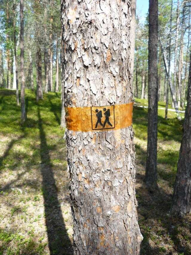 Кемпинги Lemmenjoen Lumo - Nature Experience & Accommodation Lemmenjoki-13
