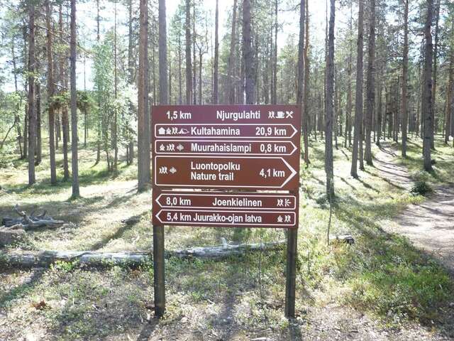 Кемпинги Lemmenjoen Lumo - Nature Experience & Accommodation Lemmenjoki-41